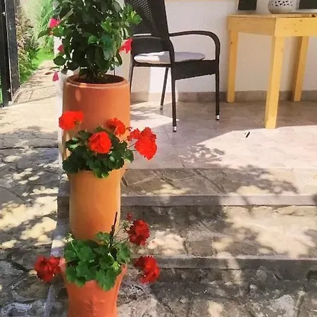 125 Appartamento